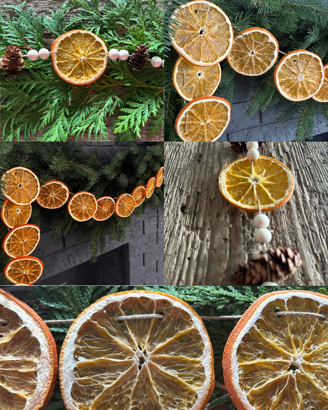 Emily's DIY Dried Citrus Holiday Garland Workshop- 729 Hwy. 7, Oakwood
