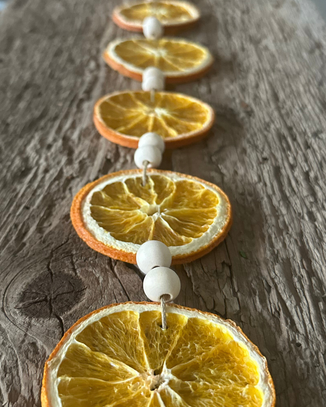 Rustic Citrus DIY Garland Kit