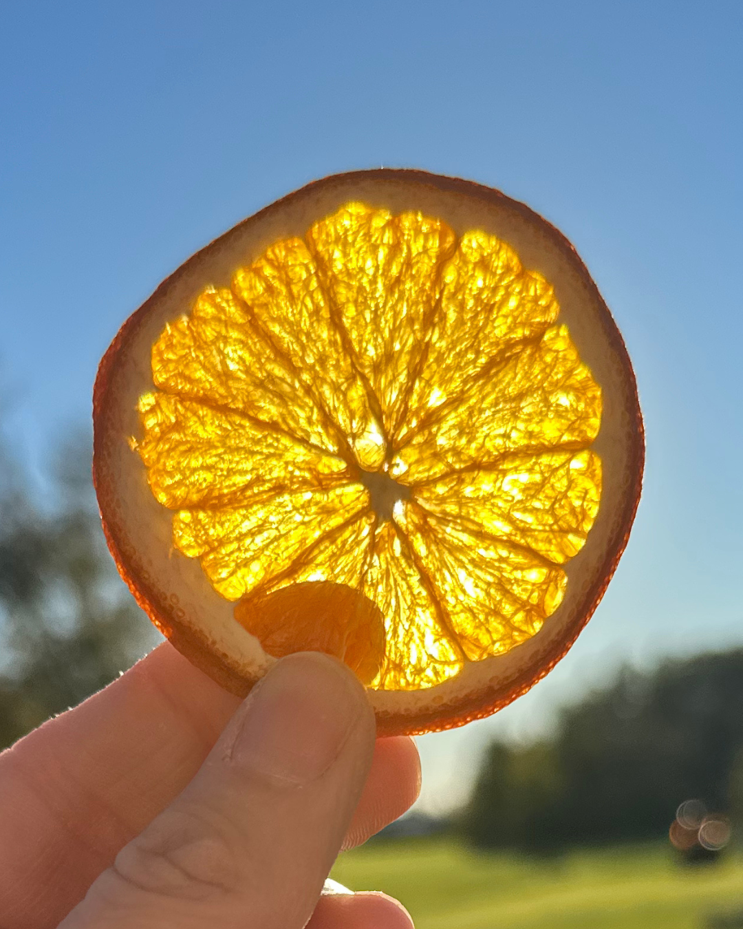 Rustic Citrus DIY Garland Kit