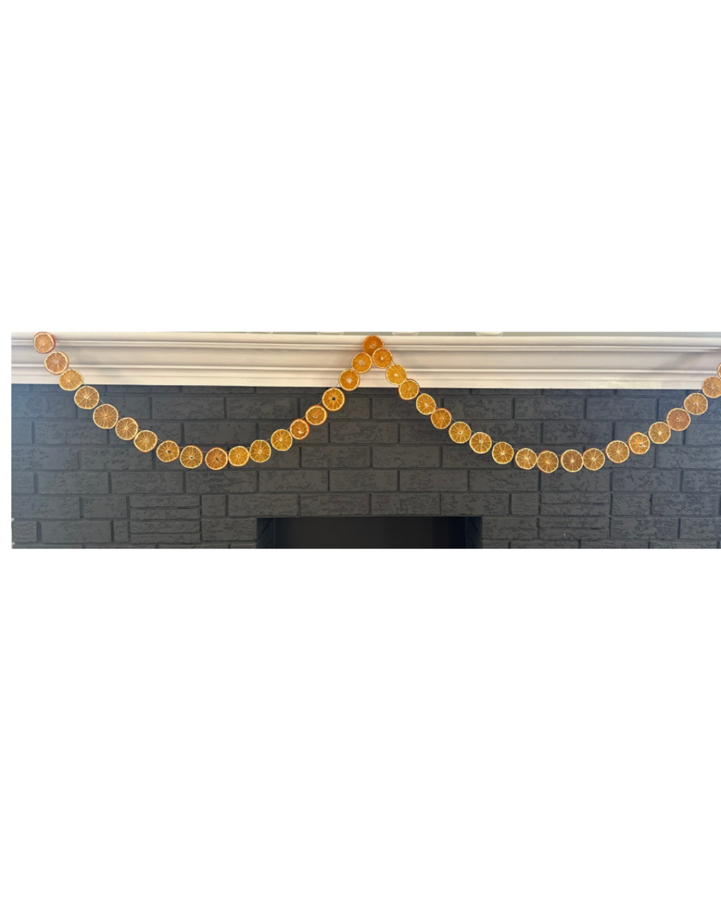 Classic Citrus DIY Garland Kit