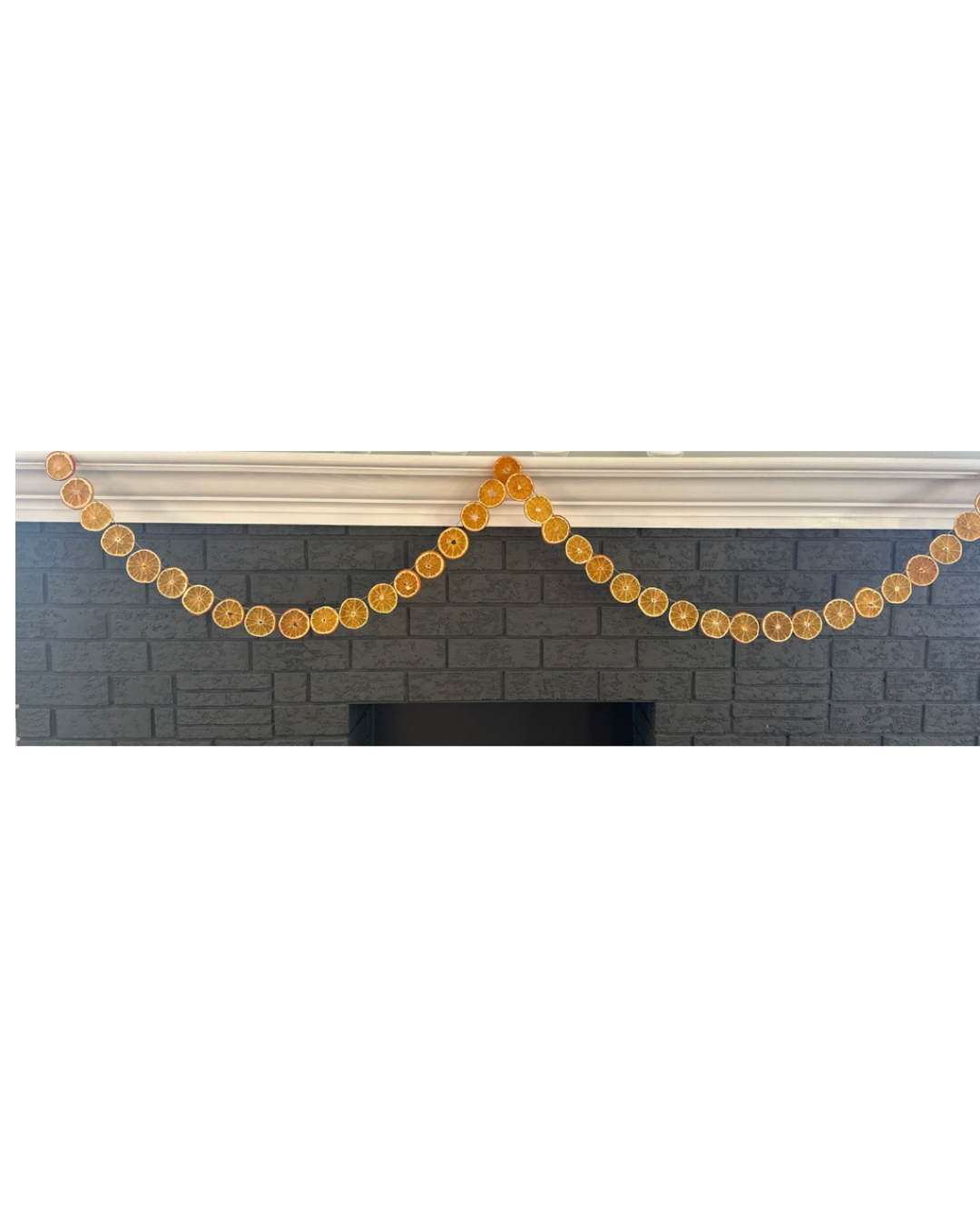Classic Citrus DIY Garland Kit