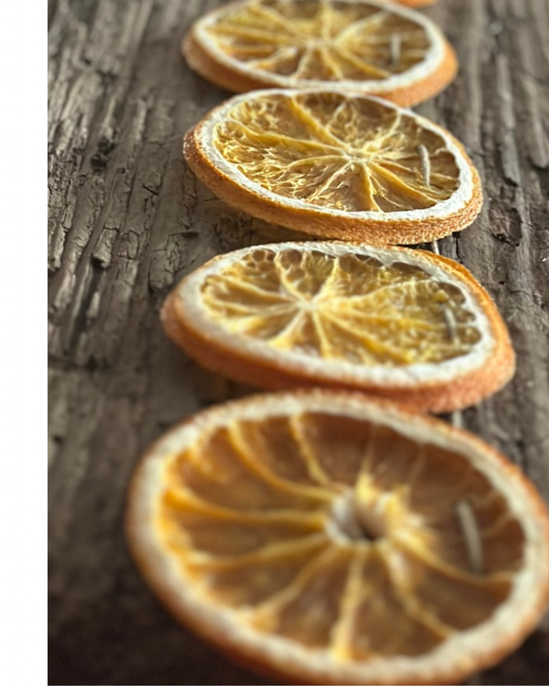 Classic Citrus DIY Garland Kit