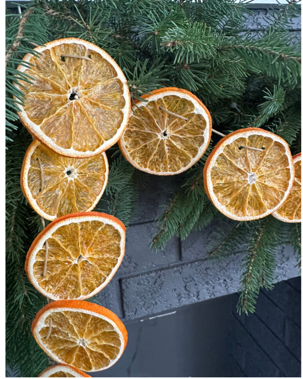 Classic Citrus DIY Garland Kit