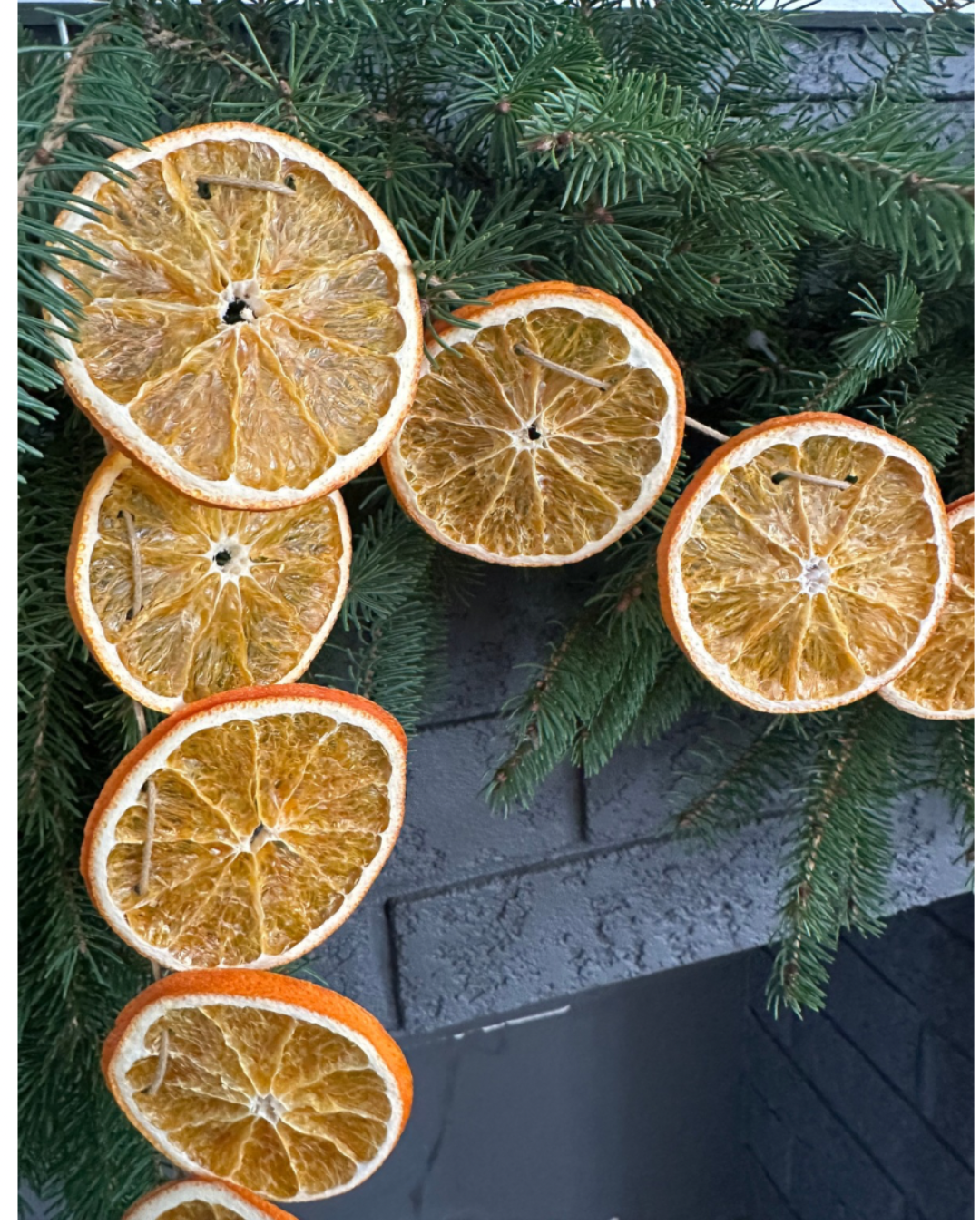 Classic Citrus DIY Garland Kit