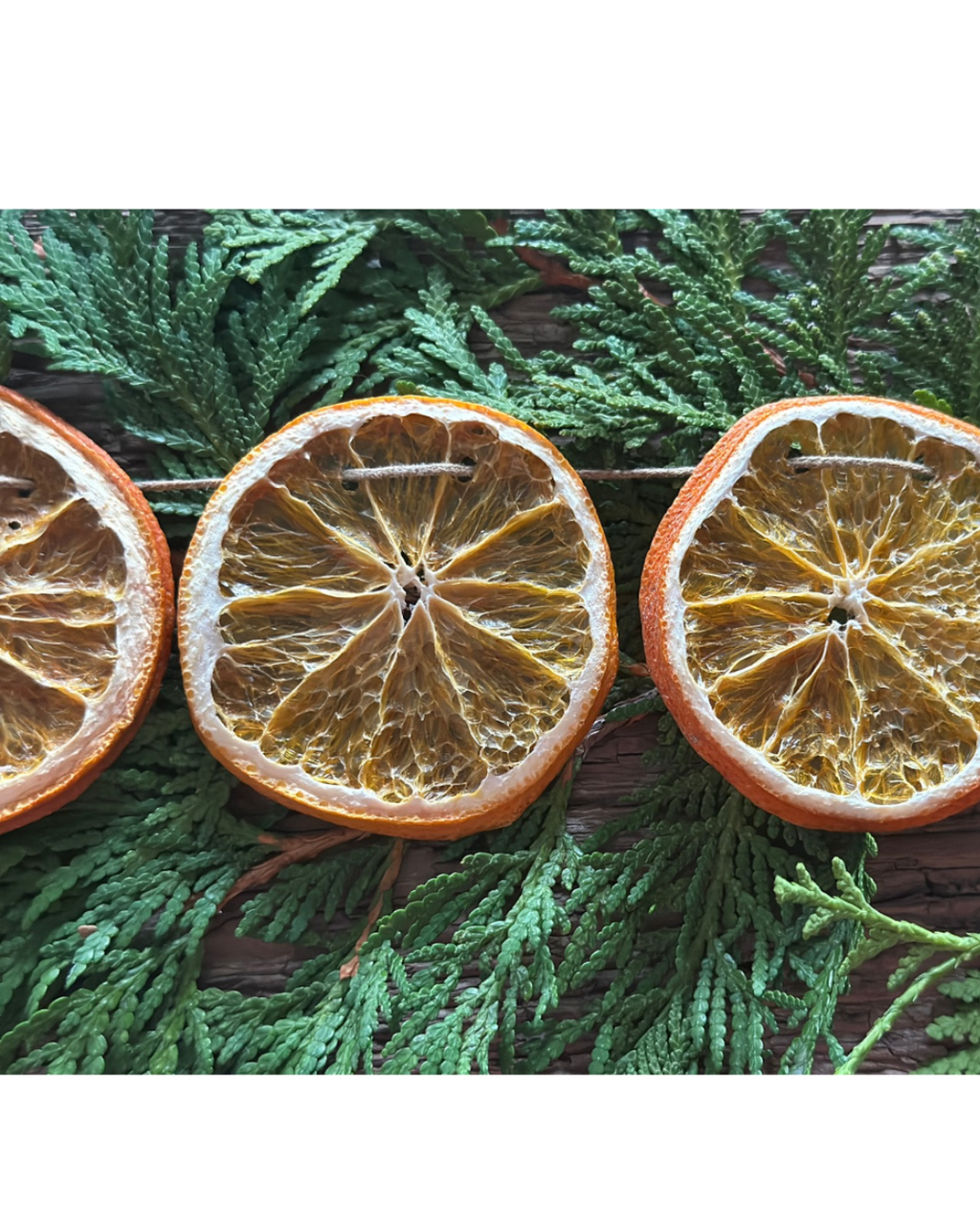 Classic Citrus DIY Garland Kit