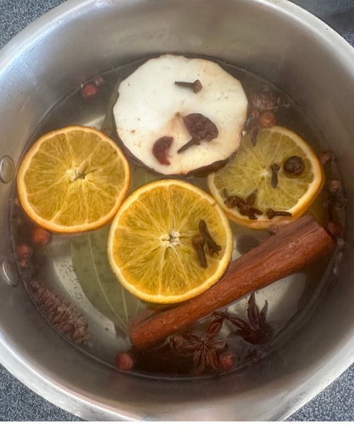 PREORDER! Snippet's Holiday Collection- Cozy Christmas Blend Stovetop Simmer Pack