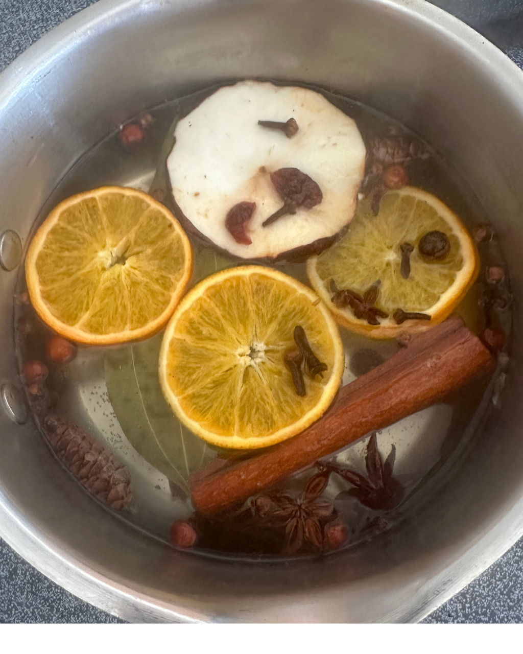PREORDER 12 Packs Snippet's Holiday Collection- Cozy Christmas Stovetop Simmer Packs